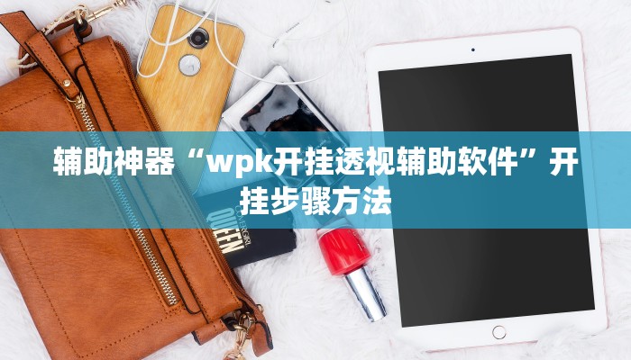 辅助神器“wpk开挂透视辅助软件”开挂步骤方法