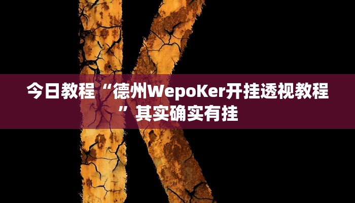 今日教程“德州WepoKer开挂透视教程”其实确实有挂 今日教程“德州WepoKer开挂透视教程”其实确实有挂