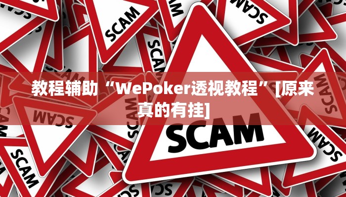 教程辅助“WePoker透视教程”[原来真的有挂]