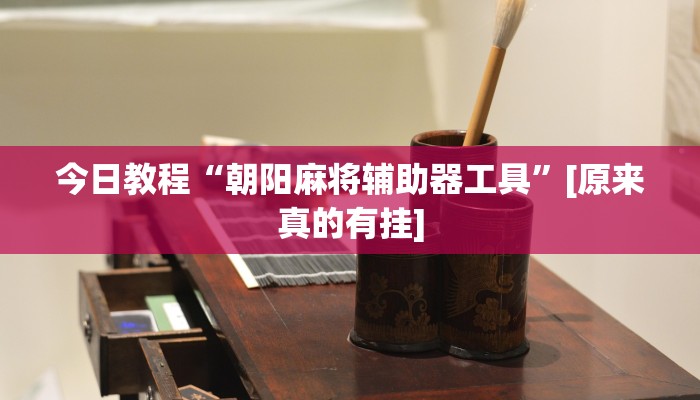 辅助神器“微乐捉老麻子开挂神器”开挂步骤方法