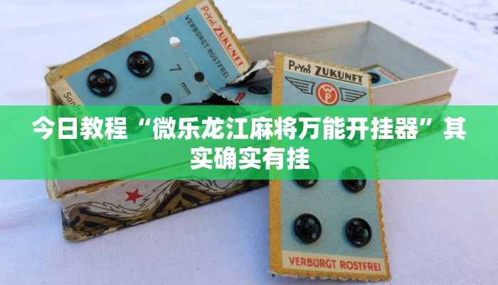 教程辅助“长乐互娱辅助软件”其实确实有挂 教程辅助“长乐互娱辅助软件”其实确实有挂