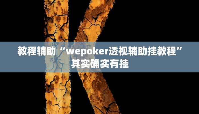 教程辅助“wepoker透视辅助挂教程”其实确实有挂