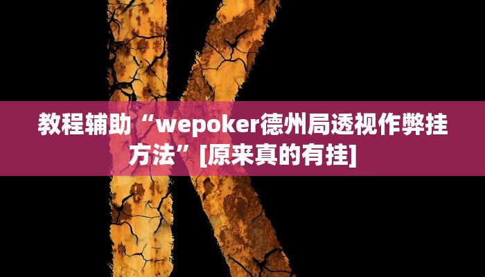 教程辅助“wepoker德州局透视作弊挂方法”[原来真的有挂]