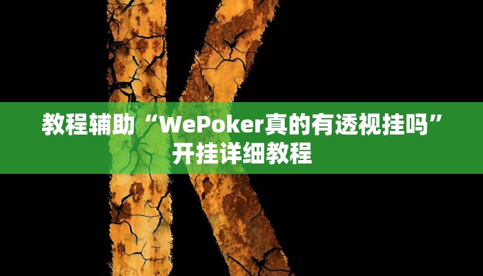教程辅助“WePoker真的有透视挂吗”开挂详细教程 教程辅助“WePoker真的有透视挂吗”开挂详细教程