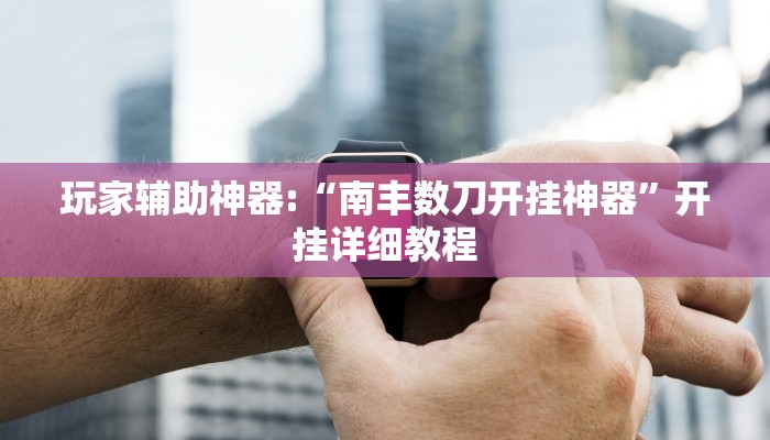 玩家辅助神器:“南丰数刀开挂神器”开挂详细教程