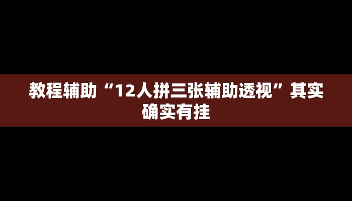 教程辅助“12人拼三张辅助透视”其实确实有挂