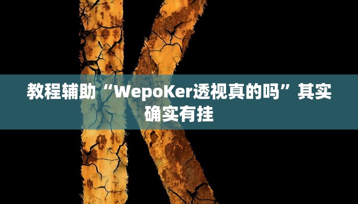 教程辅助“WepoKer透视真的吗”其实确实有挂
