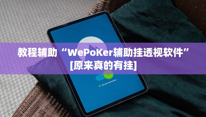 教程辅助“WePoKer辅助挂透视软件”[原来真的有挂]