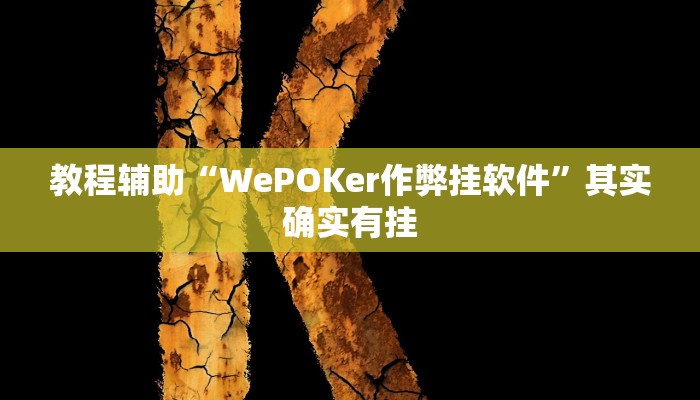教程辅助“WePOKer作弊挂软件”其实确实有挂