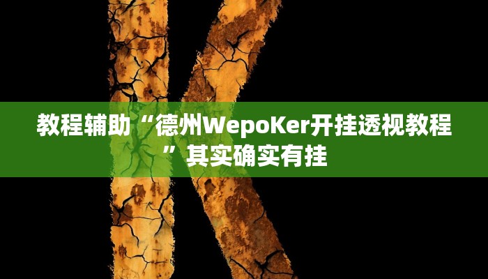 教程辅助“德州WepoKer开挂透视教程”其实确实有挂