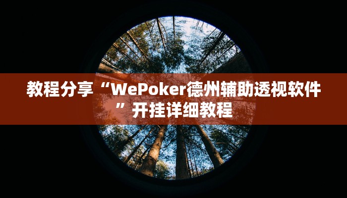 教程分享“WePoker德州辅助透视软件”开挂详细教程