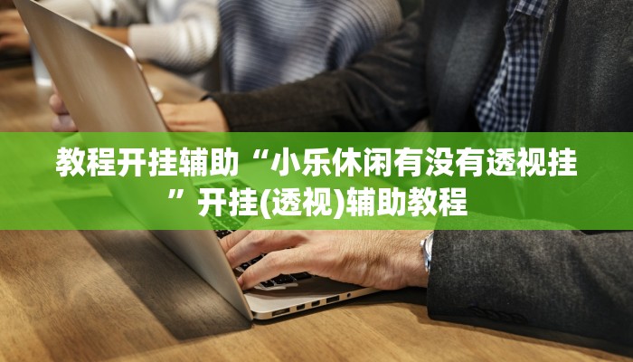 教程开挂辅助“小乐休闲有没有透视挂”开挂(透视)辅助教程