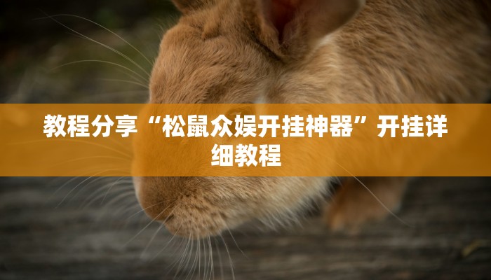 教程开挂辅助“哥哥杭州麻将开挂器”2025开挂教程步骤