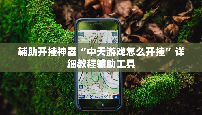 辅助神器“经典联盟万能挂”开挂步骤方法