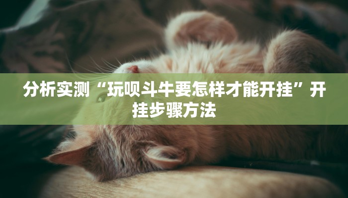 实测教程”心动联盟手机挂下载”开挂(透视)辅助教程 实测教程”心动联盟手机挂下载”开挂(透视)辅助教程