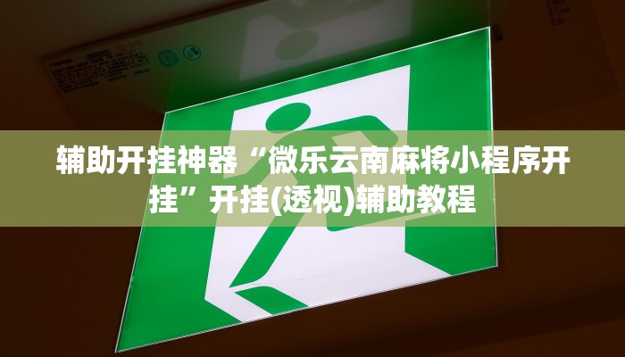 辅助开挂神器“微乐云南麻将小程序开挂”开挂(透视)辅助教程 辅助开挂神器“微乐云南麻将小程序开挂”开挂(透视)辅助教程