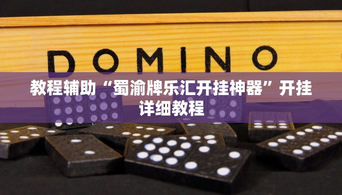 教程辅助“蜀渝牌乐汇开挂神器”开挂详细教程