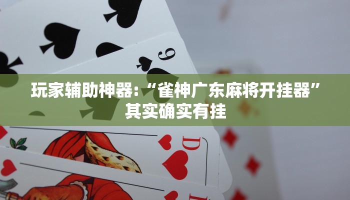 玩家辅助神器:“雀神广东麻将开挂器”其实确实有挂 玩家辅助神器:“雀神广东麻将开挂器”其实确实有挂