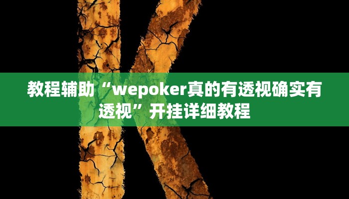 教程辅助“wepoker真的有透视确实有透视”开挂详细教程 教程辅助“wepoker真的有透视确实有透视”开挂详细教程